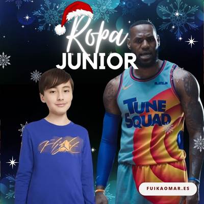 ropa baloncesto niños